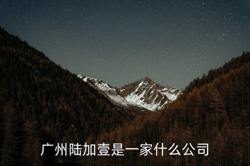廣州陸加壹是一家什么公司