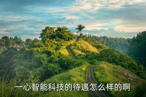一心智能科技的待遇怎么樣的啊