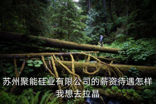 蘇州聚能硅業(yè)有限公司的薪資待遇怎樣我想去拉晶