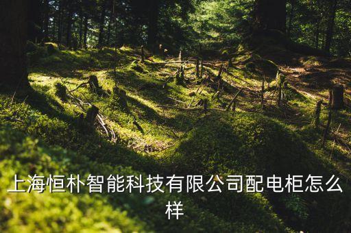 上海致樸智能科技怎么樣，上海致宇信息技術(shù)有限公司發(fā)展前景如何