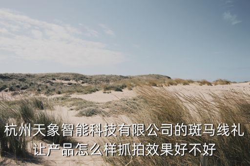 杭州天象智能科技有限公司的斑馬線禮讓產(chǎn)品怎么樣抓拍效果好不好