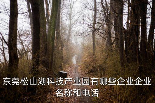 松山湖智能科技公司有哪些，東莞市松山湖科技園有哪些大企業(yè)