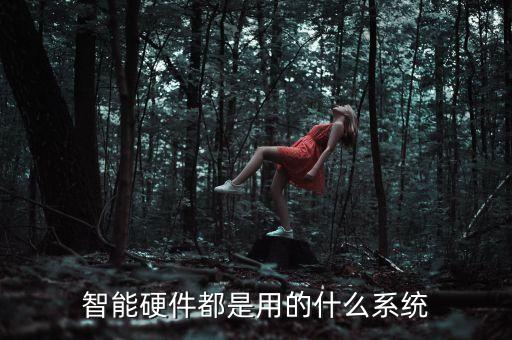 智能硬件都是用的什么系統(tǒng)