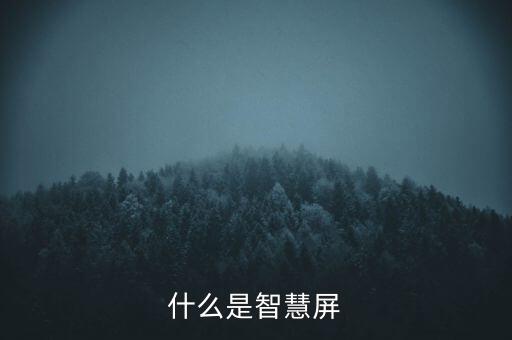 什么是智慧屏