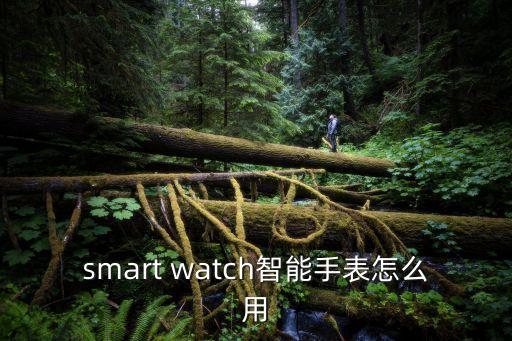 smart watch智能手表怎么用