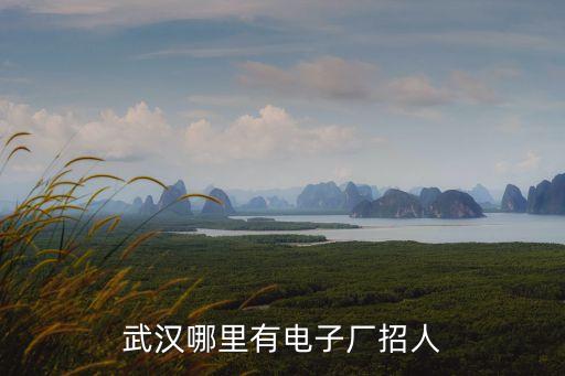 武漢哪里有電子廠招人