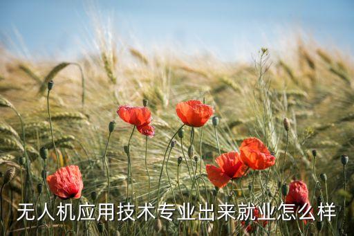 無人機應(yīng)用技術(shù)專業(yè)出來就業(yè)怎么樣