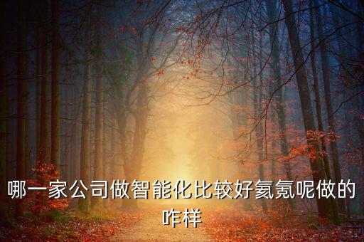哪一家公司做智能化比較好氦氪呢做的咋樣