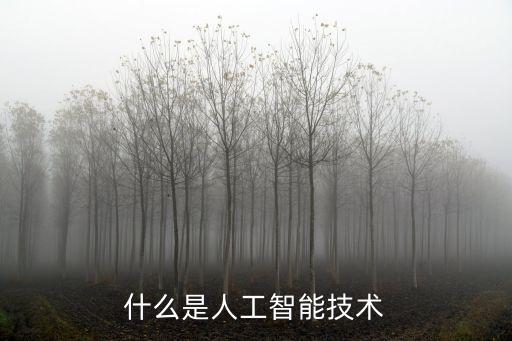 什么是人工智能技術(shù)