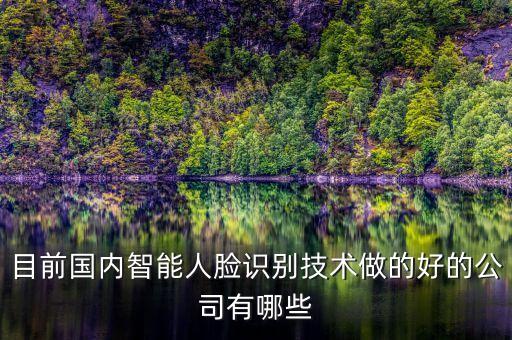 有效的智能科技公司有哪些，目前國內(nèi)智能人臉識別技術做的好的公司有哪些