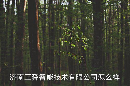 正飛智能科技怎么樣，濟(jì)南正舜智能技術(shù)有限公司怎么樣
