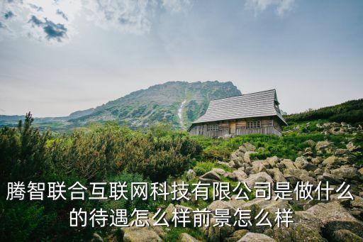 騰智聯(lián)合互聯(lián)網(wǎng)科技有限公司是做什么的待遇怎么樣前景怎么樣