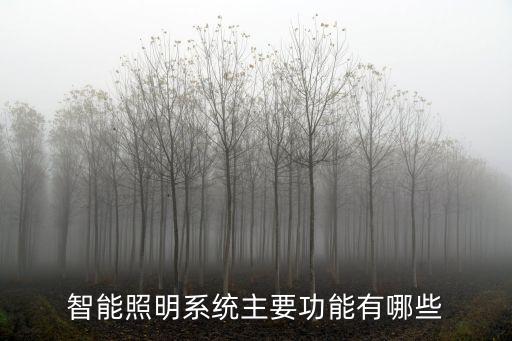 智能照明系統(tǒng)主要功能有哪些