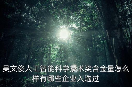 吳文俊人工智能科學(xué)技術(shù)獎含金量怎么樣有哪些企業(yè)入選過