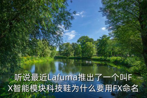 聽說(shuō)最近Lafuma推出了一個(gè)叫FX智能模塊科技鞋為什么要用FX命名