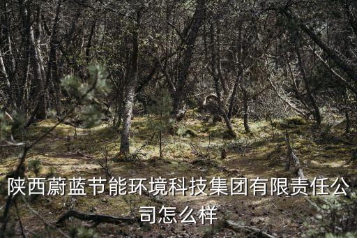 蔚藍(lán)智能科技融資多少億，陜西蔚藍(lán)節(jié)能環(huán)境科技集團(tuán)有限責(zé)任公司怎么樣