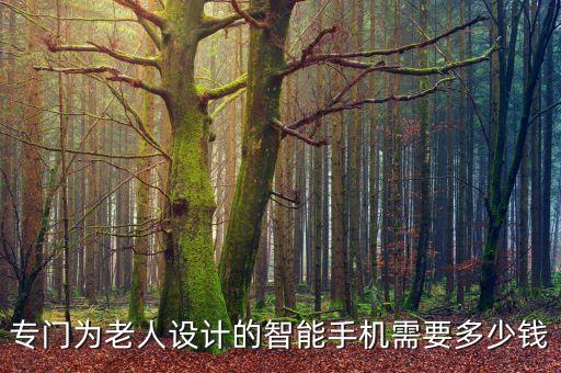 專門為老人設(shè)計的智能手機需要多少錢
