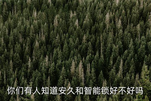 你們有人知道安久和智能鎖好不好嗎