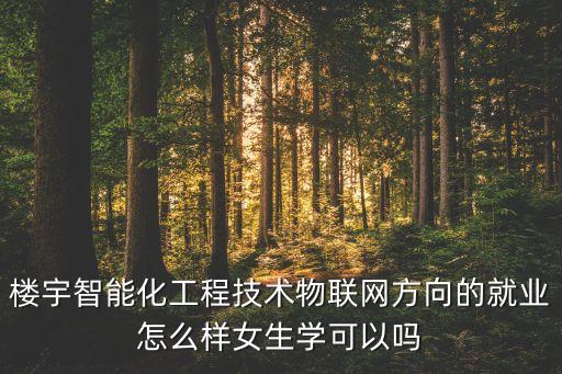 樓宇智能化工程技術(shù)物聯(lián)網(wǎng)方向的就業(yè)怎么樣女生學(xué)可以嗎