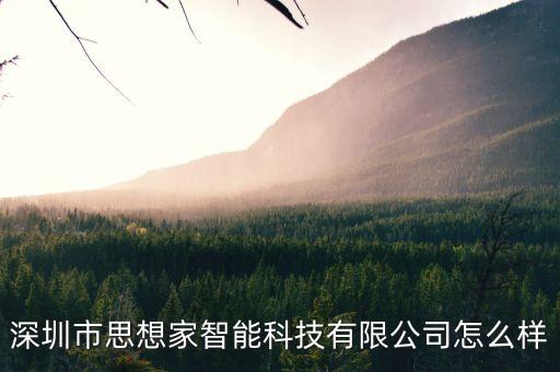 深圳市思想家智能科技有限公司怎么樣
