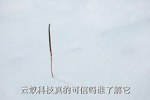 云蟻科技真的可信嗎誰了解它