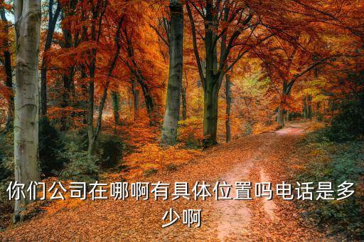 你們公司在哪啊有具體位置嗎電話是多少啊