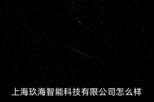 上海玖海智能科技有限公司怎么樣