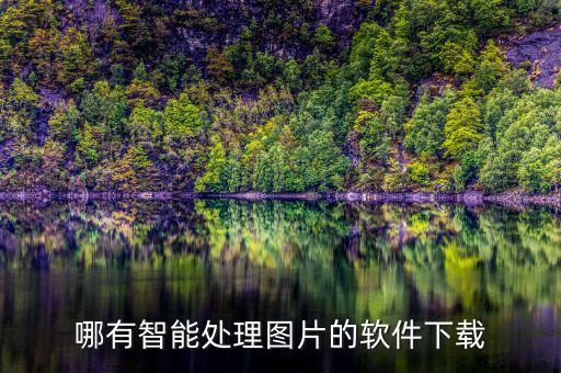哪有智能處理圖片的軟件下載