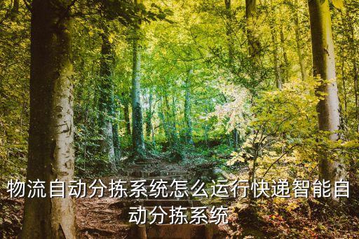 如何用智能科技運(yùn)輸快遞物品，物流自動(dòng)分揀系統(tǒng)怎么運(yùn)行快遞智能自動(dòng)分揀系統(tǒng)