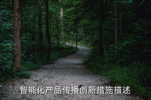 智能化產(chǎn)品傳播創(chuàng)新措施描述