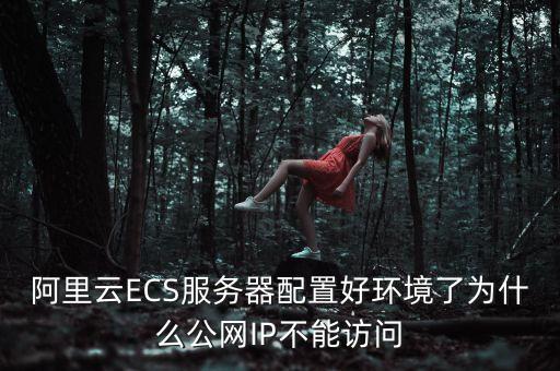 阿里云ECS服務(wù)器配置好環(huán)境了為什么公網(wǎng)IP不能訪(fǎng)問(wèn)