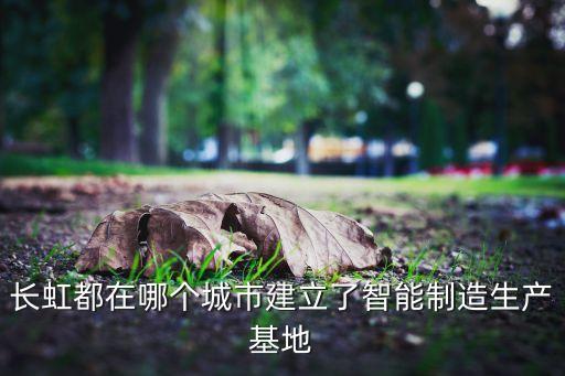長虹都在哪個城市建立了智能制造生產基地