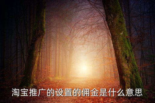 淘寶推廣的設(shè)置的傭金是什么意思