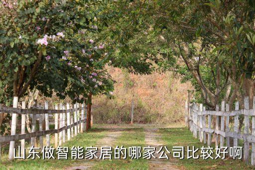 山東做智能家居的哪家公司比較好啊