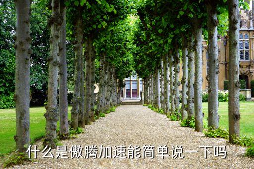 什么是傲騰加速能簡單說一下嗎