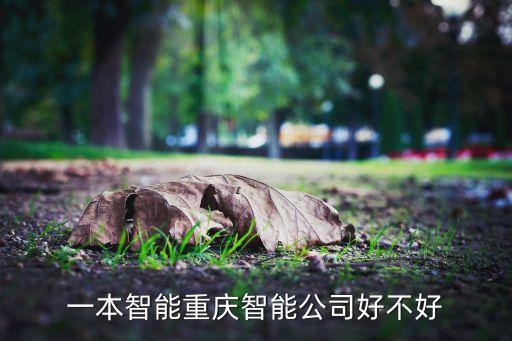 重慶金康特智能科技怎么樣，一本智能重慶智能公司好不好