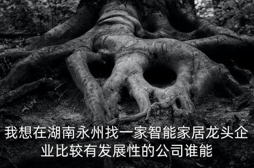 我想在湖南永州找一家智能家居龍頭企業(yè)比較有發(fā)展性的公司誰能