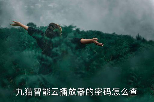 智能云科技臨時密碼是多少，魅藍的智能云密碼找回