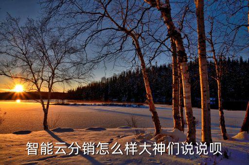 智能云分銷怎么樣大神們說說唄