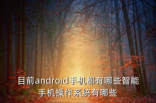 目前android手機(jī)都有哪些智能手機(jī)操作系統(tǒng)有哪些