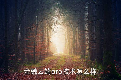 金融云端pro技術(shù)怎么樣