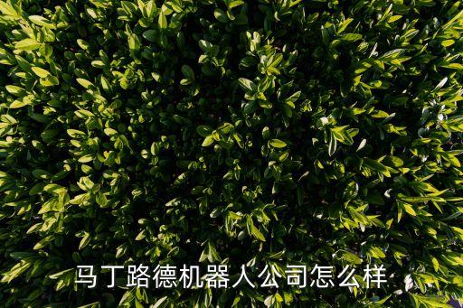 麥格瑞智能科技怎么樣，馬丁路德機(jī)器人公司怎么樣