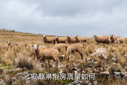 安麒淋浴房質(zhì)量如何