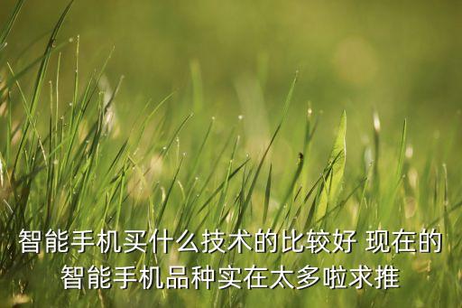 智能手機(jī)買什么技術(shù)的比較好 現(xiàn)在的智能手機(jī)品種實(shí)在太多啦求推