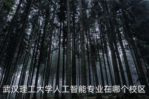 武漢理工大學(xué)人工智能專業(yè)在哪個(gè)校區(qū)