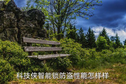 科技俠智能鎖防盜性能怎樣樣
