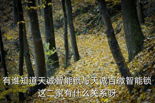 有誰知道天誠智能鎖與天誠百微智能鎖這二家有什么關系呀