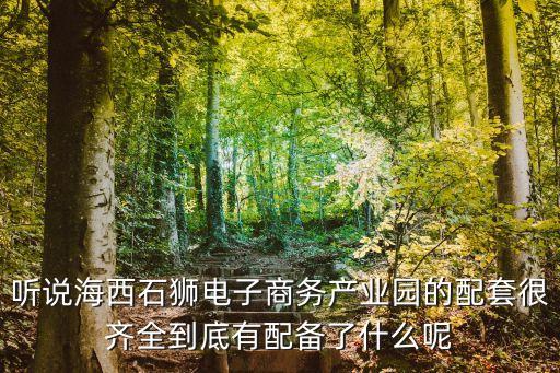 聽說(shuō)海西石獅電子商務(wù)產(chǎn)業(yè)園的配套很齊全到底有配備了什么呢