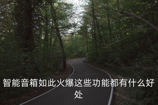 智能音箱如此火爆這些功能都有什么好處