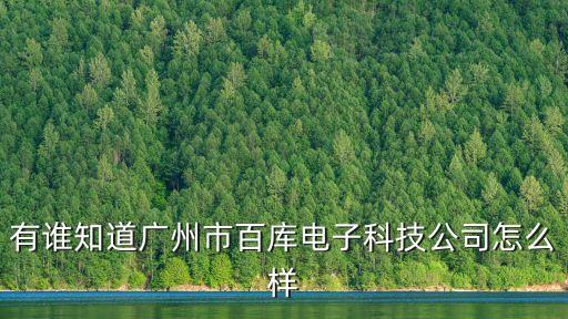 有誰知道廣州市百庫電子科技公司怎么樣